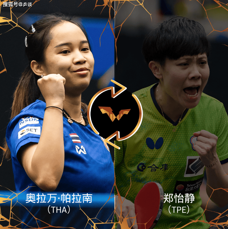 他退赛之后 他退赛之后